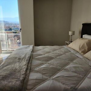 Apartamento Centrico Con Las Mejores Vistas De Mendoza